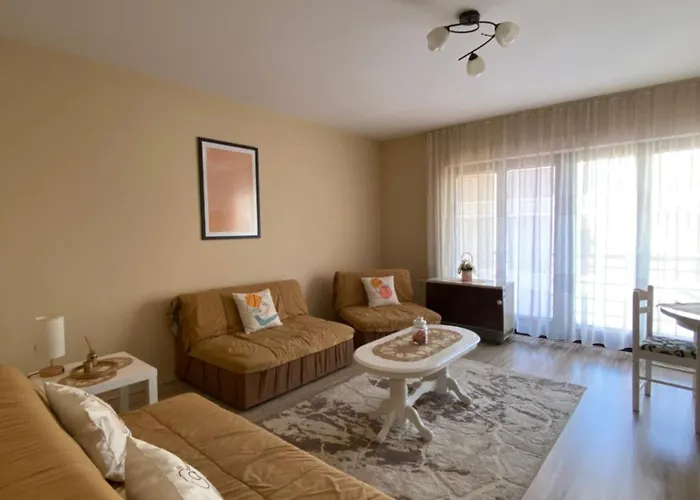 Dora Prázdninový dům *